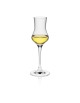 Kieliszek do grappy Edition 90 ml - RONA